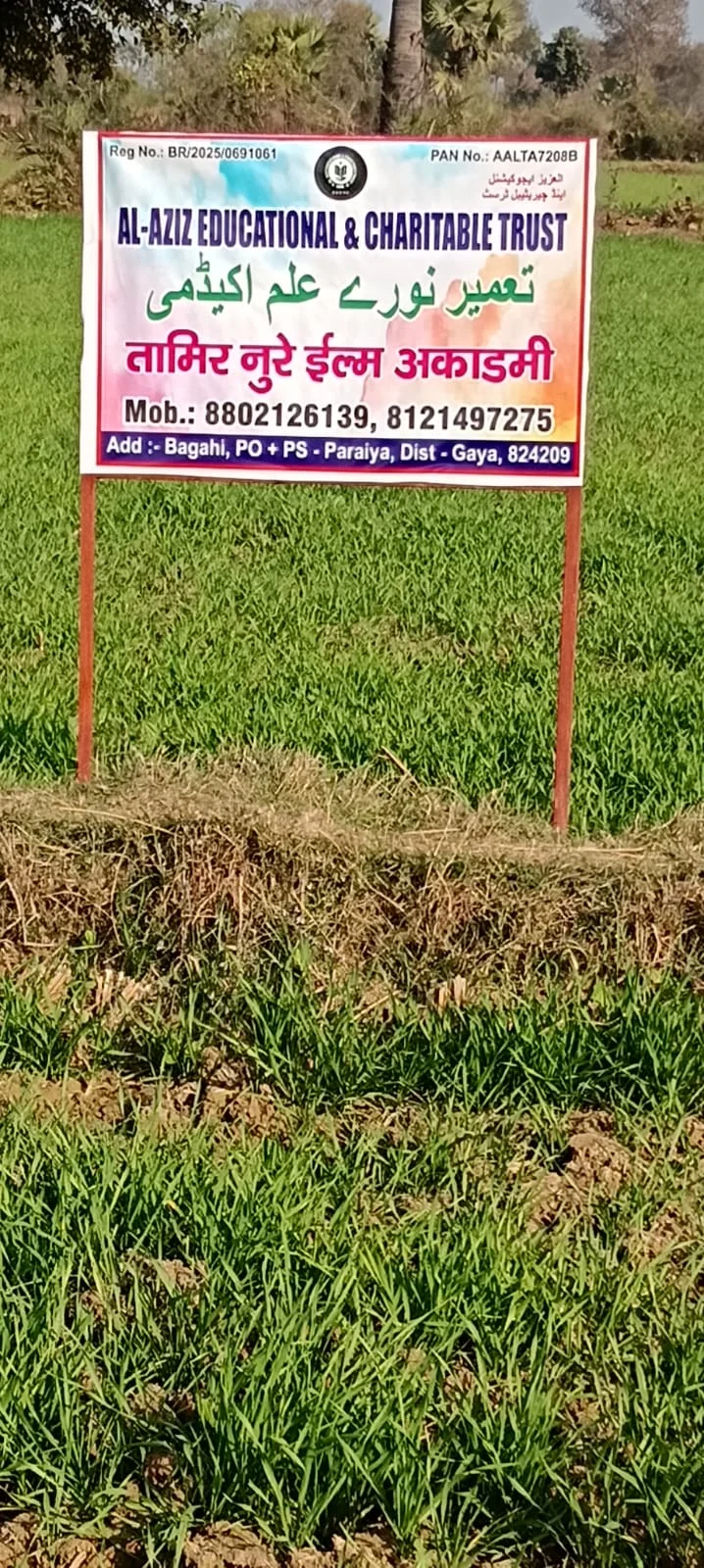Trust Activity - Photo 11